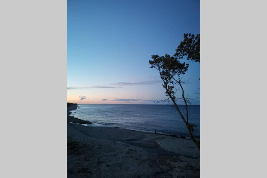Marine De Bravone T2 Terrasse Front De Mer - Plage Pieds Dans L'Eau - Clim - Piscine - Wifi Linguizzetta Esterno foto
