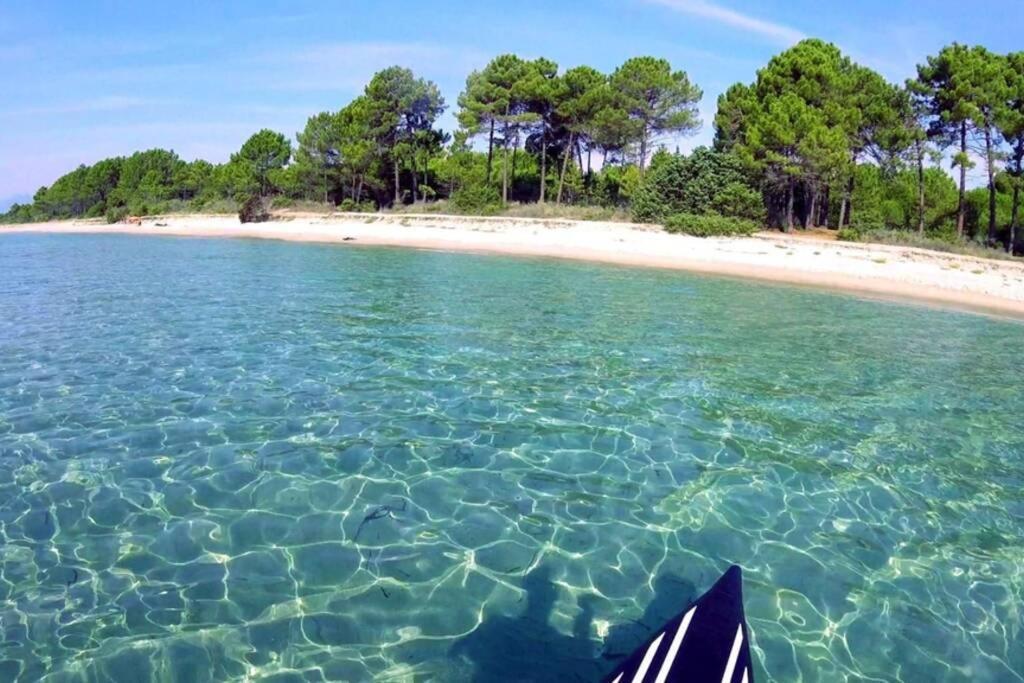 Marine De Bravone T2 Terrasse Front De Mer - Plage Pieds Dans L'Eau - Clim - Piscine - Wifi Linguizzetta Esterno foto