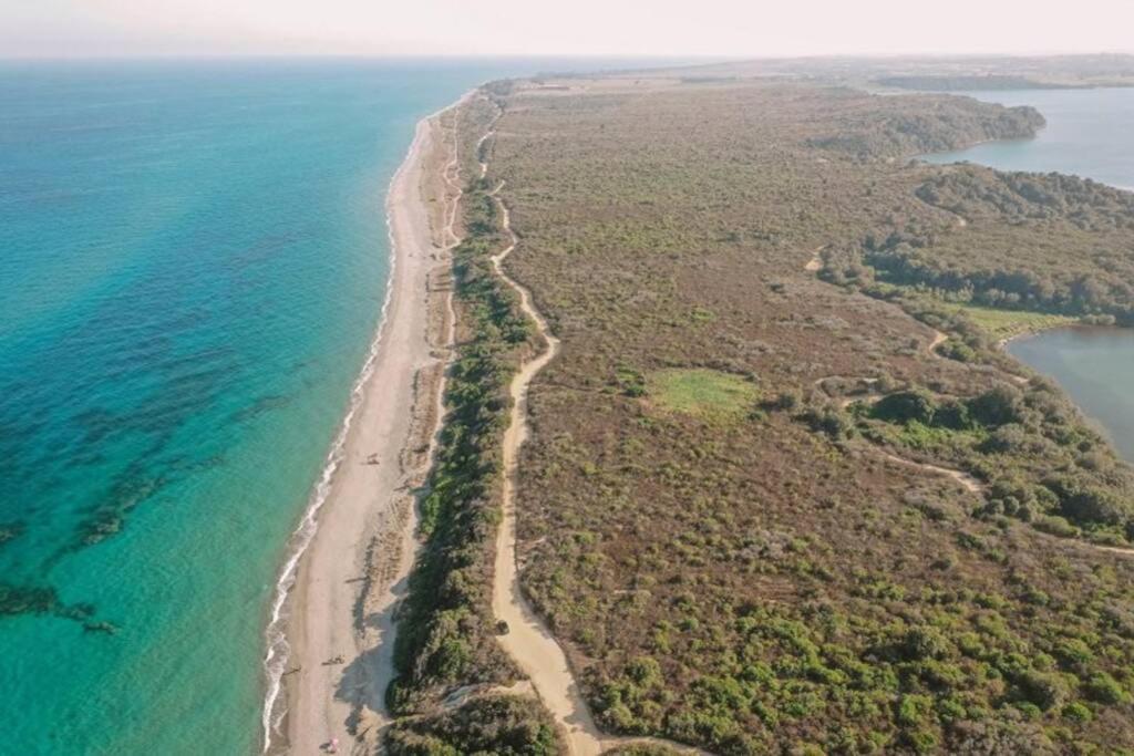 Marine De Bravone T2 Terrasse Front De Mer - Plage Pieds Dans L'Eau - Clim - Piscine - Wifi Linguizzetta Esterno foto