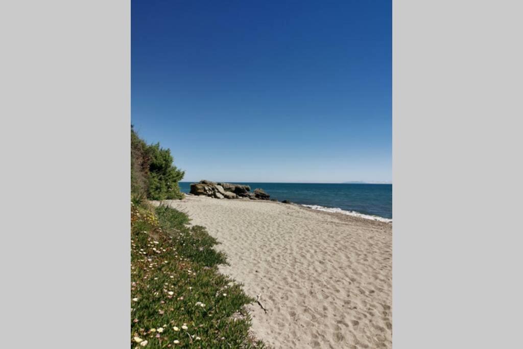 Marine De Bravone T2 Terrasse Front De Mer - Plage Pieds Dans L'Eau - Clim - Piscine - Wifi Linguizzetta Esterno foto