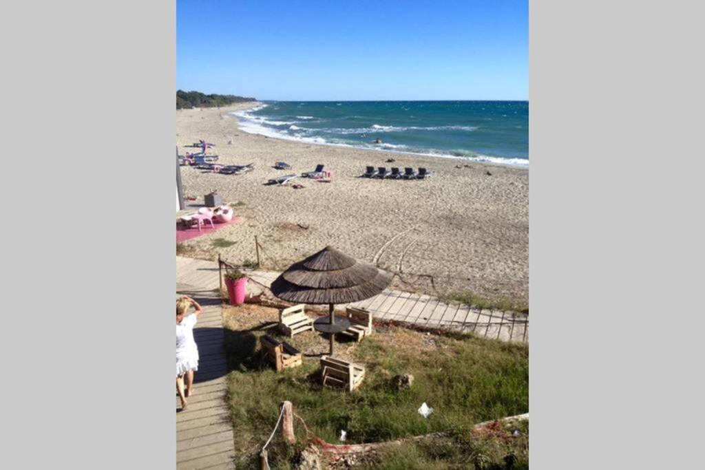 Marine De Bravone T2 Terrasse Front De Mer - Plage Pieds Dans L'Eau - Clim - Piscine - Wifi Linguizzetta Esterno foto