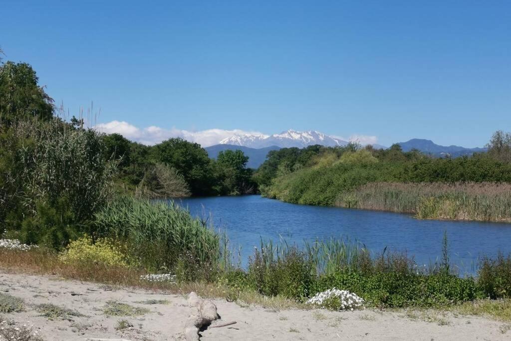 Marine De Bravone T2 Terrasse Front De Mer - Plage Pieds Dans L'Eau - Clim - Piscine - Wifi Linguizzetta Esterno foto