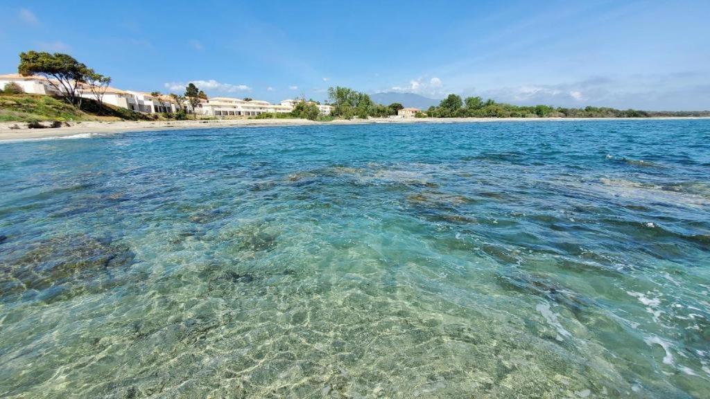 Marine De Bravone T2 Terrasse Front De Mer - Plage Pieds Dans L'Eau - Clim - Piscine - Wifi Linguizzetta Esterno foto